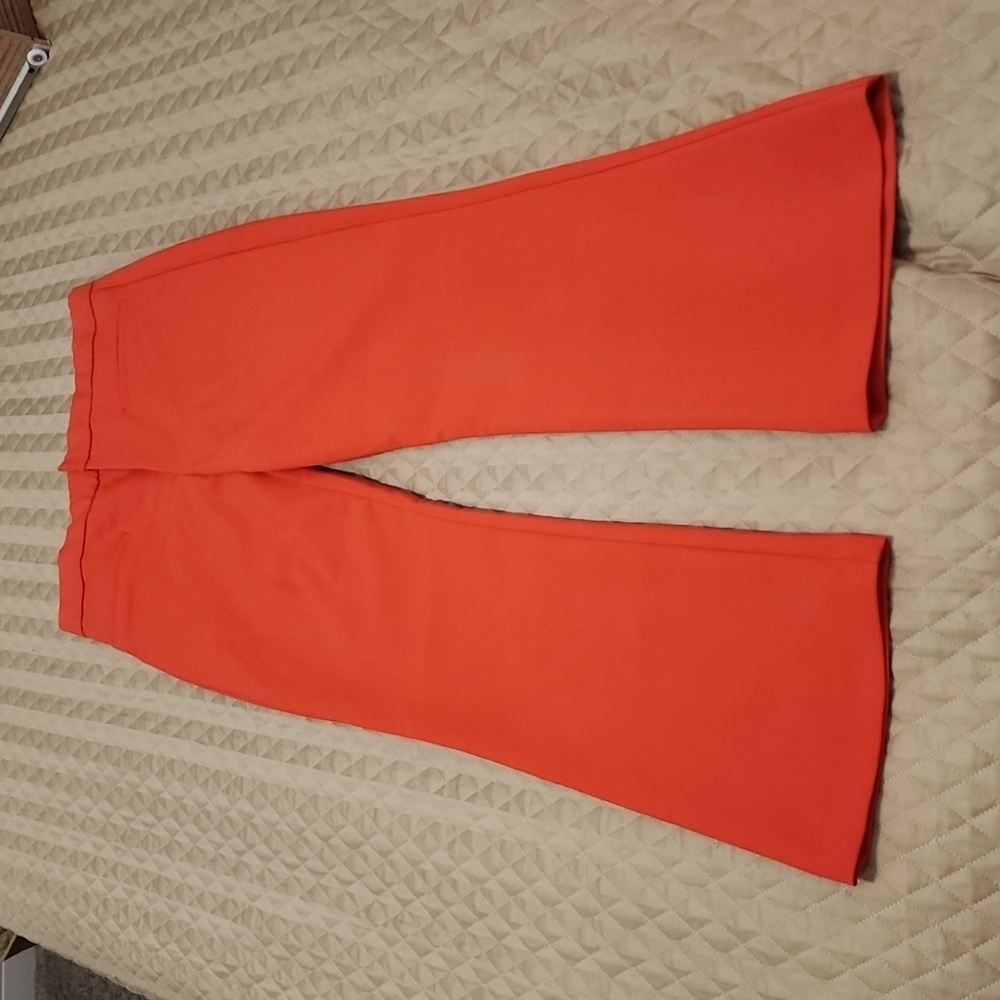 Zara pants